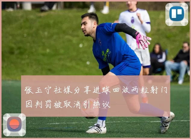 张玉宁社媒分享进球回放两粒射门因判罚被取消引热议