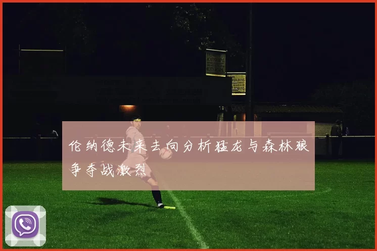 伦纳德未来去向分析猛龙与森林狼争夺战激烈