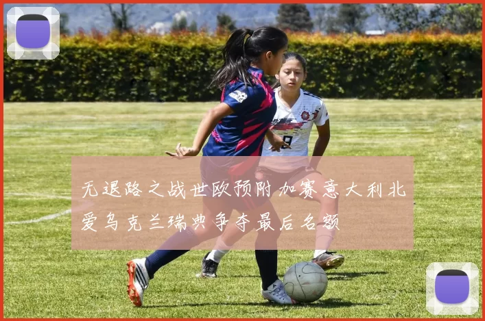 无退路之战世欧预附加赛意大利北爱乌克兰瑞典争夺最后名额